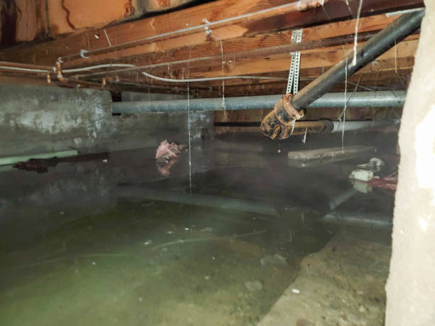 Best Commercial Water Damage Restoration in Coord, NC