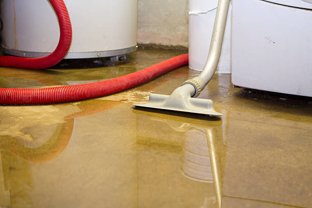 Best Odor Removal and Sanitization After Water Damage in Coord, NC